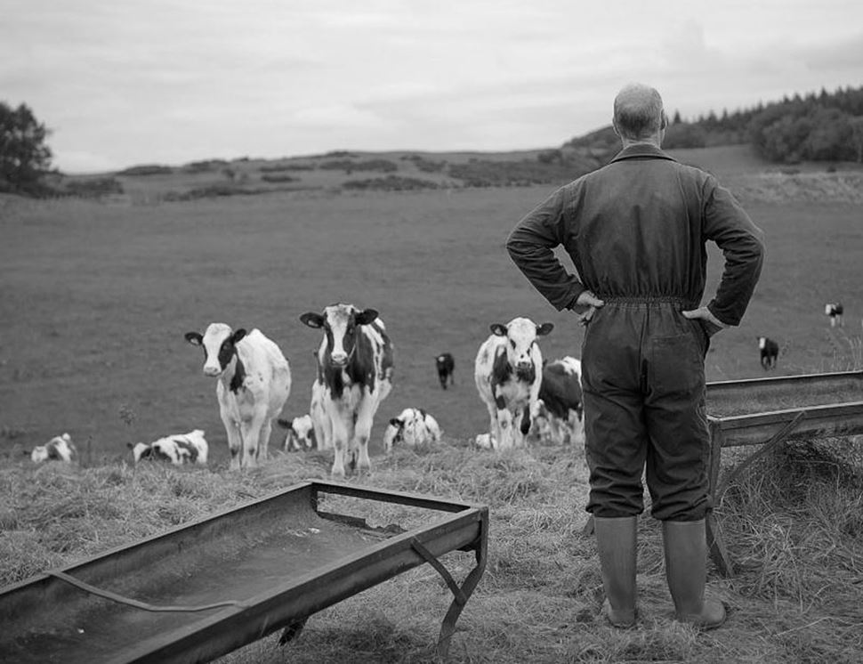 The Ethical Dairy