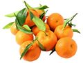 Clementines, with leaves