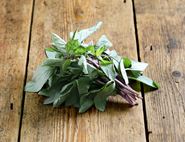 Thai Basil, Organic (20g)