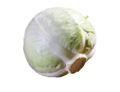White Cabbage