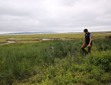 Wild Marsh Samphire (100g)