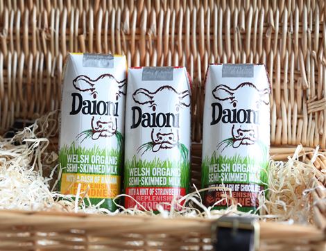 Chocolate Flavoured Milk Drink, Organic, Daioni (3 x 200ml)