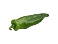 Green Pointed Pepper