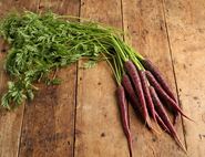 bunched purple carrots