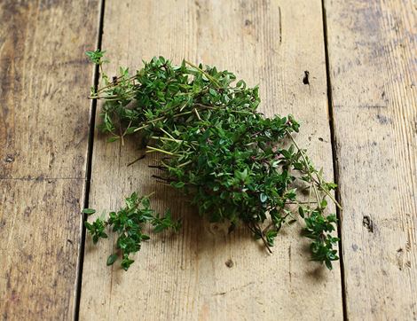 Lemon Thyme, Organic (15g)