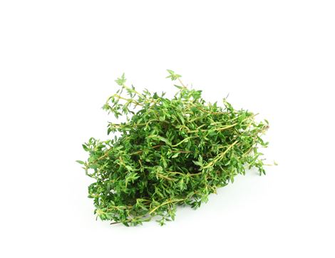 Lemon Thyme (30g)