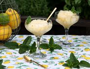 Citrus Zing Granita