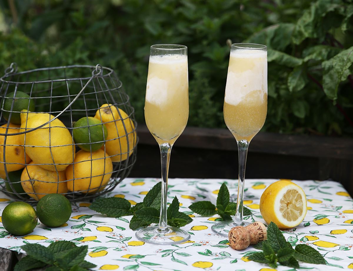 Citrus Zing Granita Sgroppino