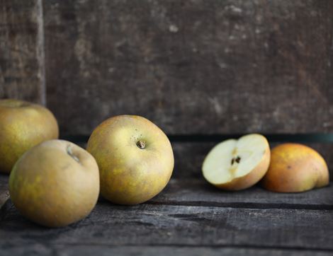 English Rosemary Russet Apples, Organic (700g)