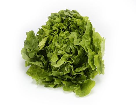 Lettuce, Green Oak Leaf