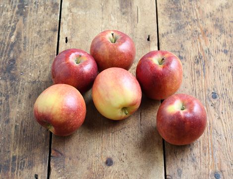 crimson crisp apples