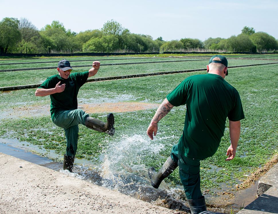 The Watercress Company