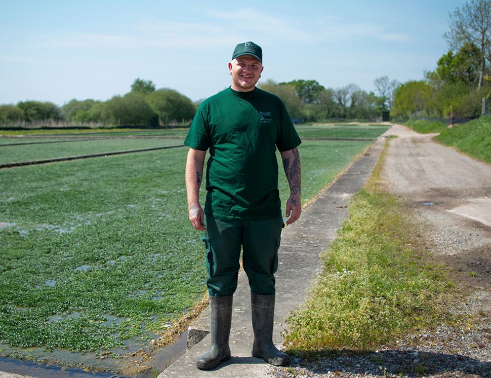 The Watercress Company