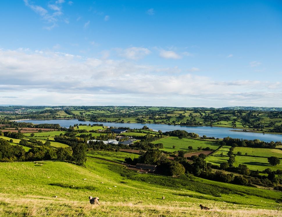 Yeo Valley