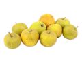 Herefordshire Russet Apples Herefordshire Russet Apples