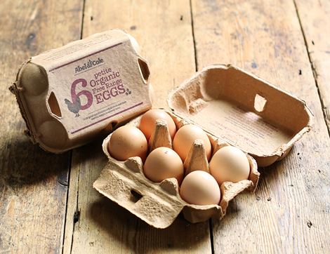Eggs, Organic Free Range (6 petite)