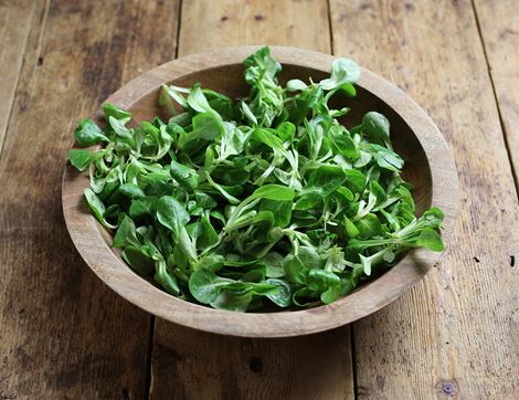 Lamb's Lettuce, Organic (100g)