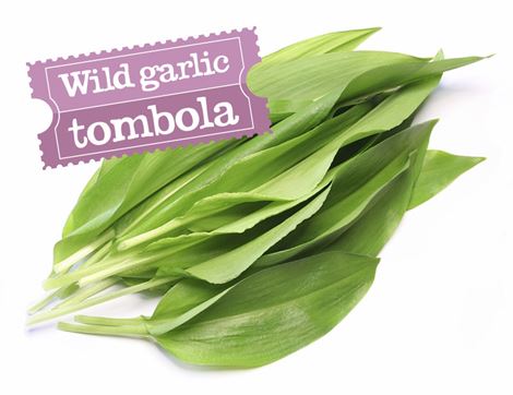 Wild Garlic Tombola Ticket