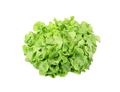 Lamb's Lettuce (Corn Salad)