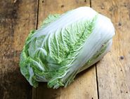 Chinese Leaf, Organic