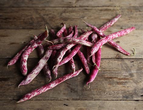 Borlotti Beans, Organic (300g)