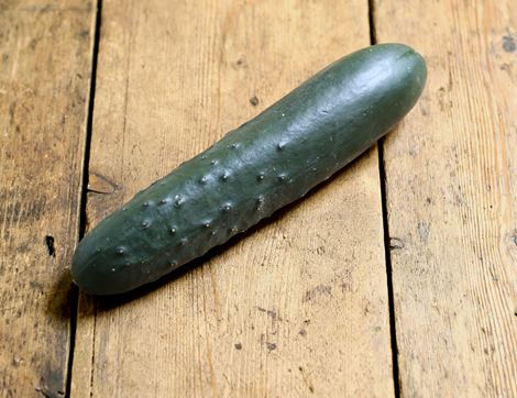 Ridge Cucumber, Organic