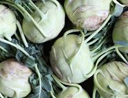 Kohlrabi Tips