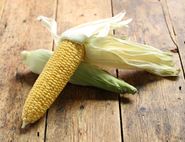 English Sweetcorn, Organic (2 cobs)