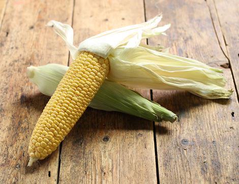 English Sweetcorn, Organic (2 cobs)
