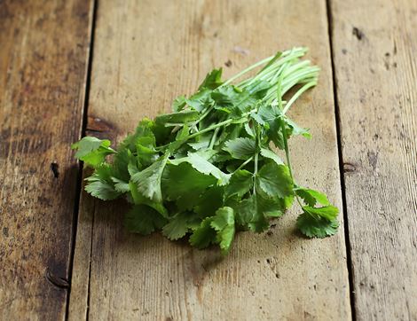 organic coriander