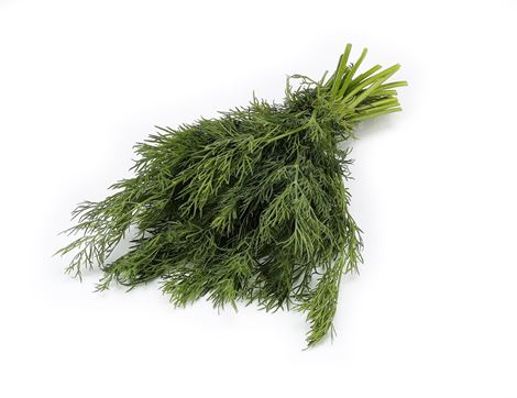 Dill, Organic (30g)