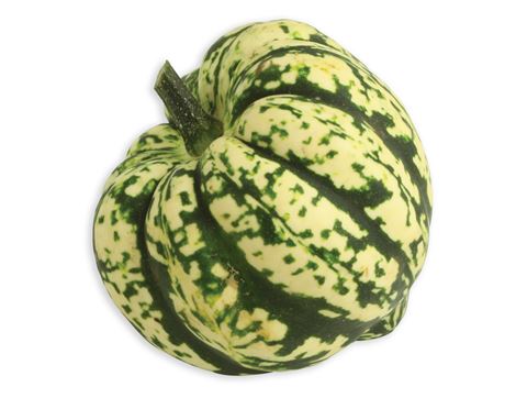 Harlequin Squash