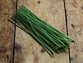 Chives