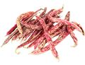 Borlotti Beans Borlotti Beans