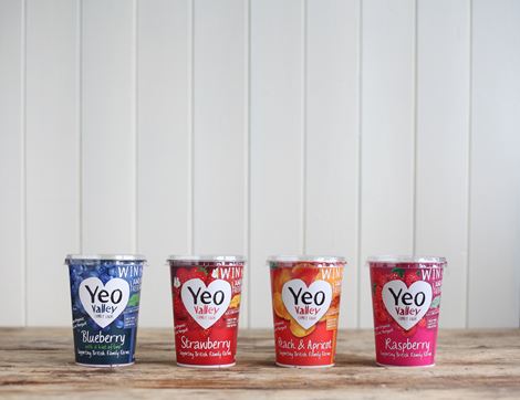 Strawberry Yogurt, Organic, Yeo Valley (450g)