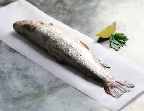 Rainbow Trout, Whole (240g min)
