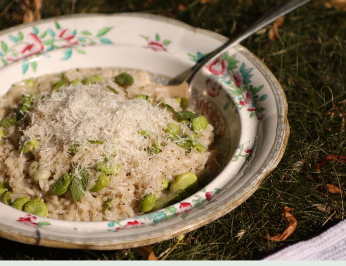 Broad Bean Risotto