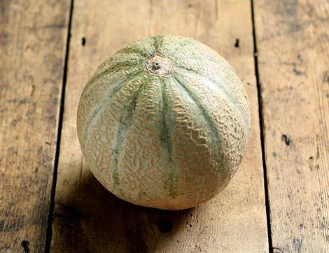 Cantaloupe Melon, Organic