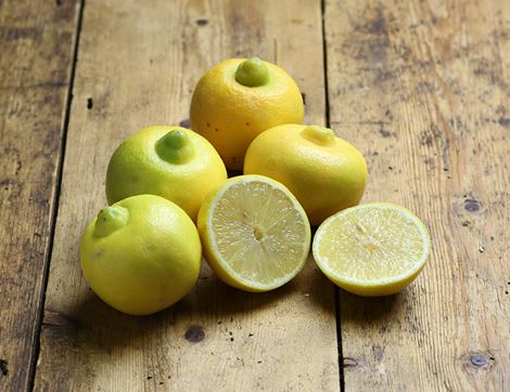 organic citron beldi