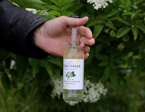 Wild Elderflower Bubbly, Non-Organic, Luscombe (4 x 270ml)