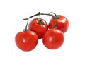 Vine Tomatoes