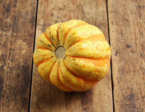 celebration squash