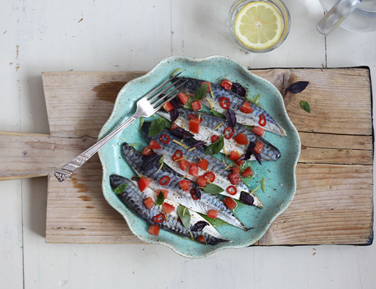 Mackerel Ceviche with Tomatoes, Chilli & Basil