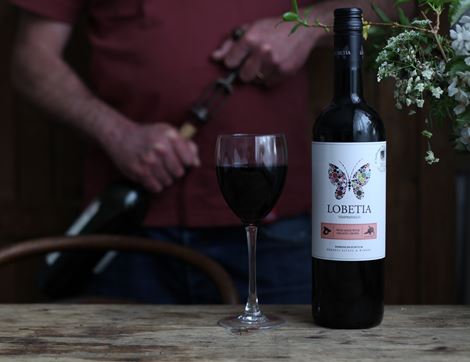 Lobetia Tempranillo, Dominio de Punctum 2012
