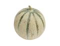 Cantaloupe Melon