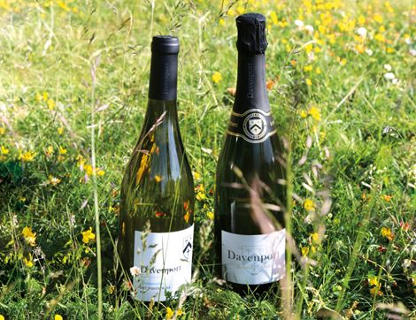 Horsmonden White Wine, Organic, Davenport Vineyards, 2021 (75cl)