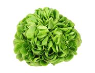 Lettuce, Green Salanova (1 head)