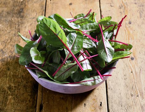 Baby Red Chard, Organic (100g)