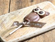 milk chocolate owl lolly cooca loco