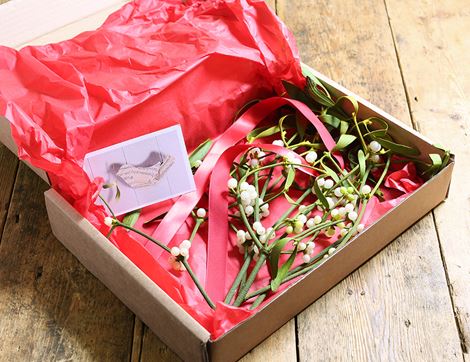 Mistletoe, Organic (5 sprigs)